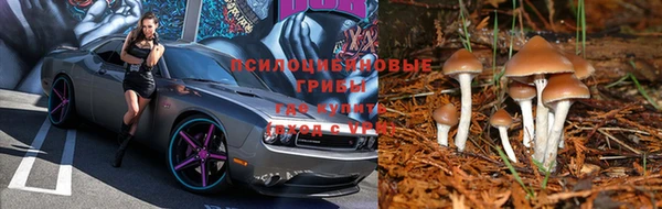дмт Армянск