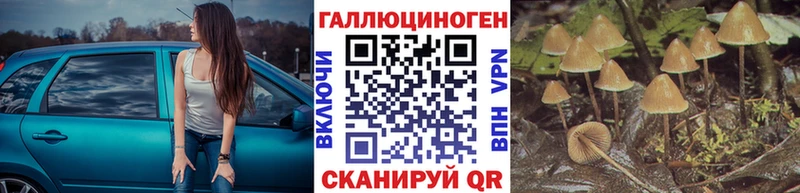 где можно купить   ОМГ ОМГ ONION  Псилоцибиновые грибы прущие грибы  Волгоград 